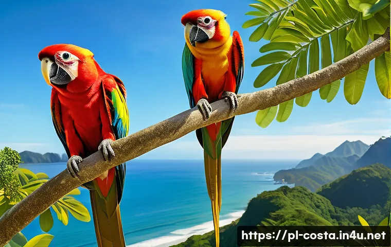 코스타리카 코르코바도 국립공원 관련 이미지 2